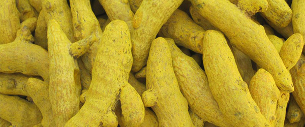salem-turmeric-finge